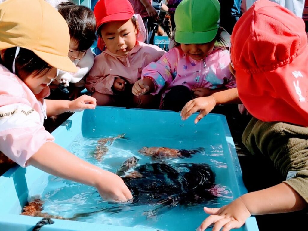 ミニ水族館に恐る恐る手を出す菅島保育所園児たち