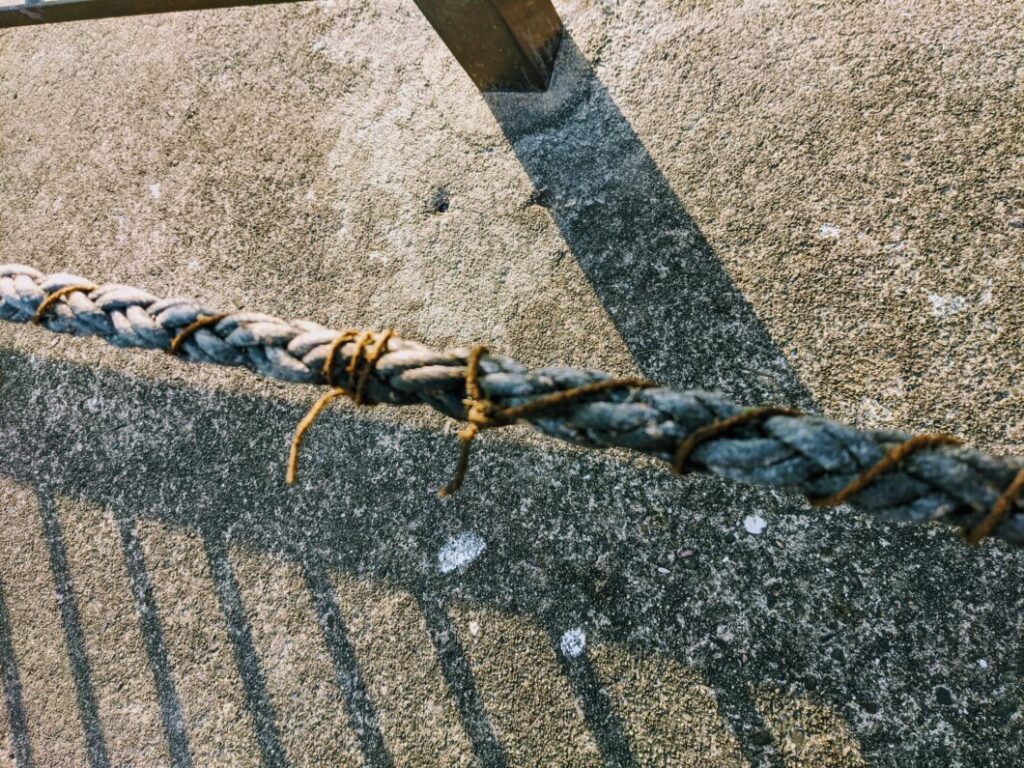 ロープに巻き付けられたわかめの種糸
