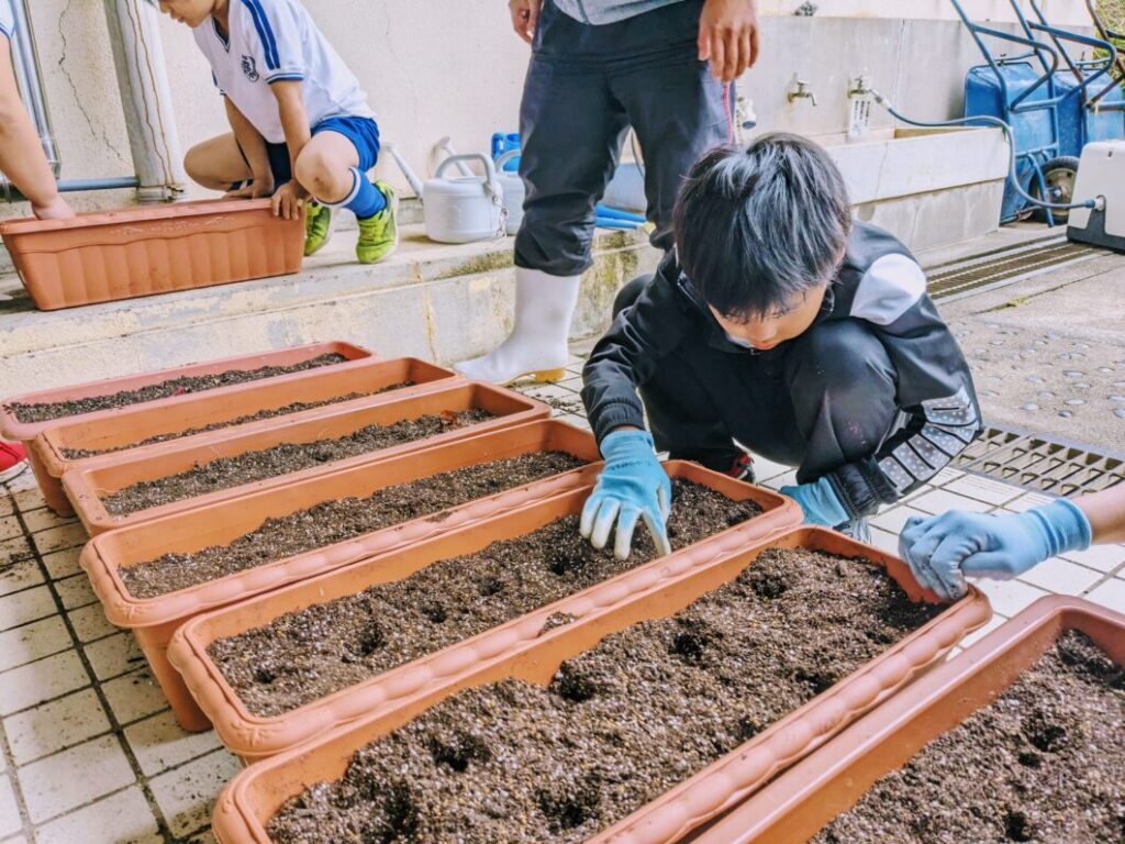 ひまわりの種をまくために土に穴をあける児童
